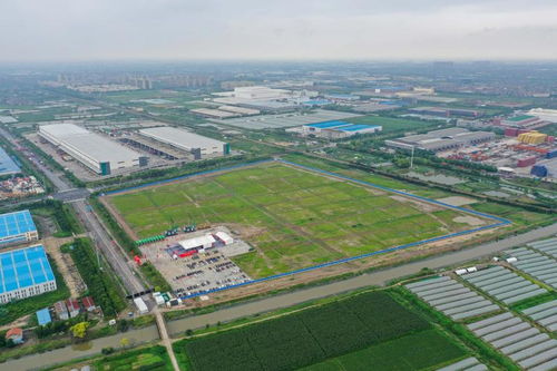 上海这座新城集中开工18个重点项目,总投资近500亿,达产产值约800亿